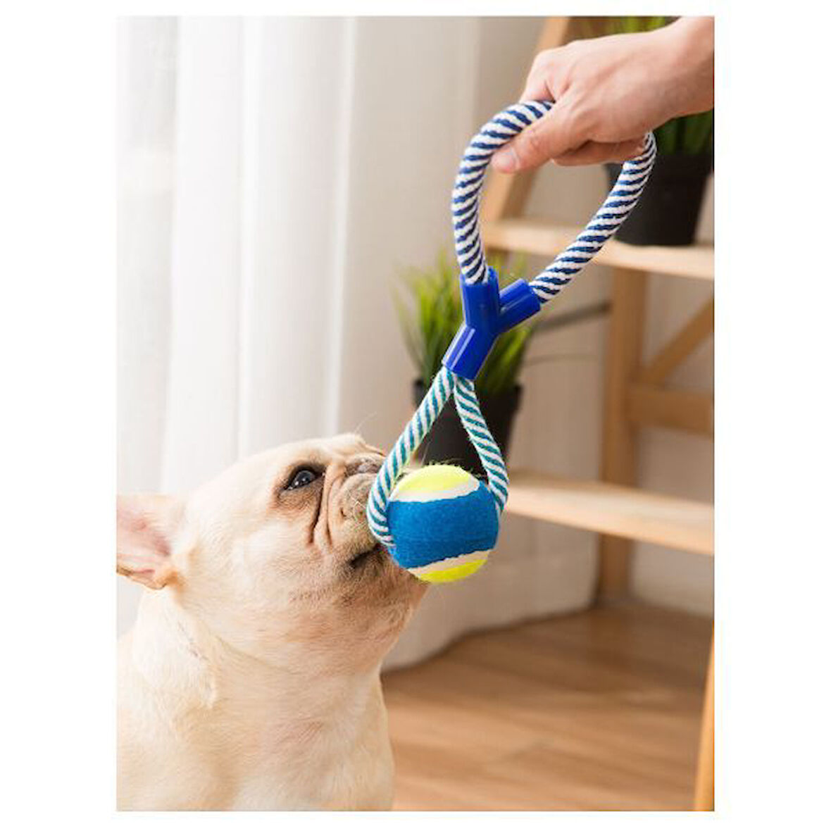 Halatlı Köpek Çiğneme Topu.Gzptt