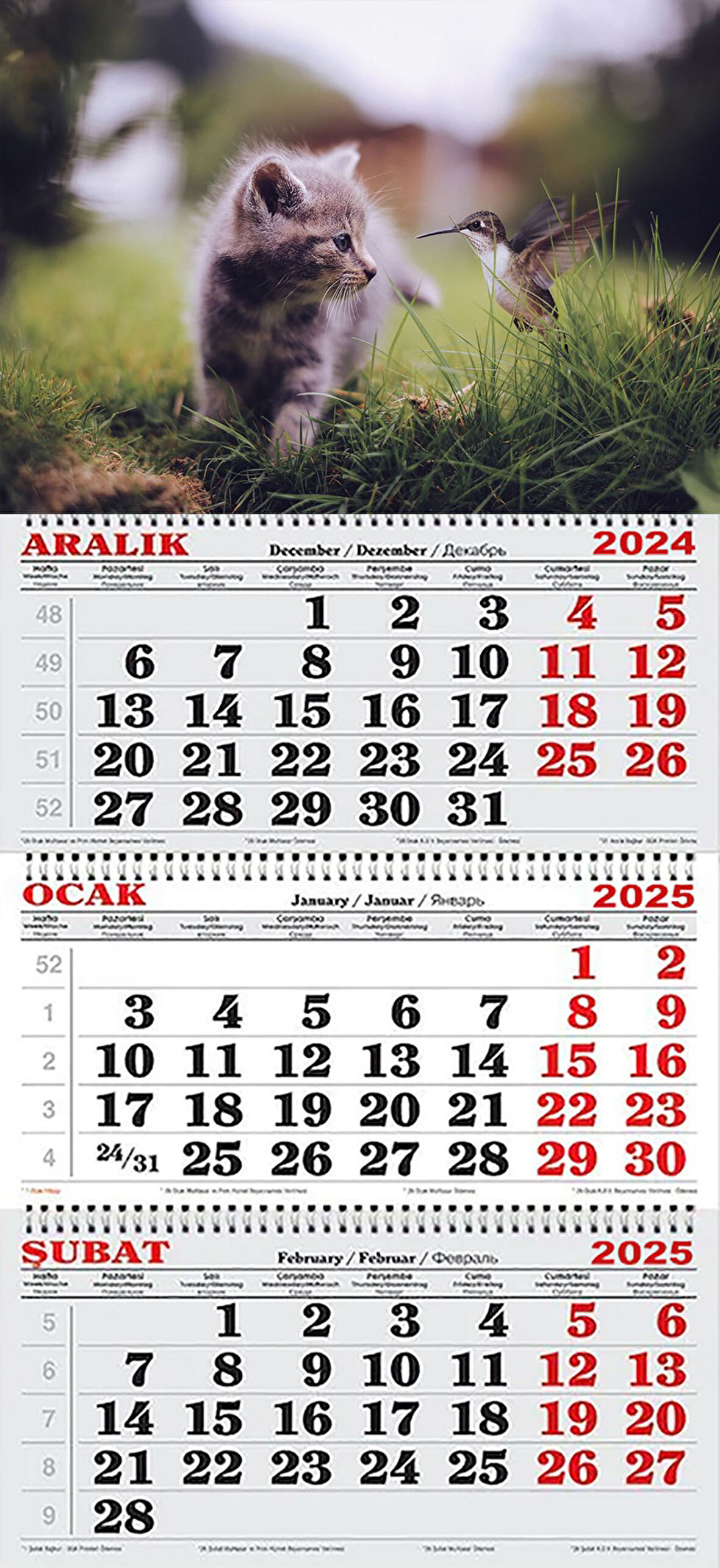  2025 Yılı Gemici Takvimi-Kedi ve Kuş