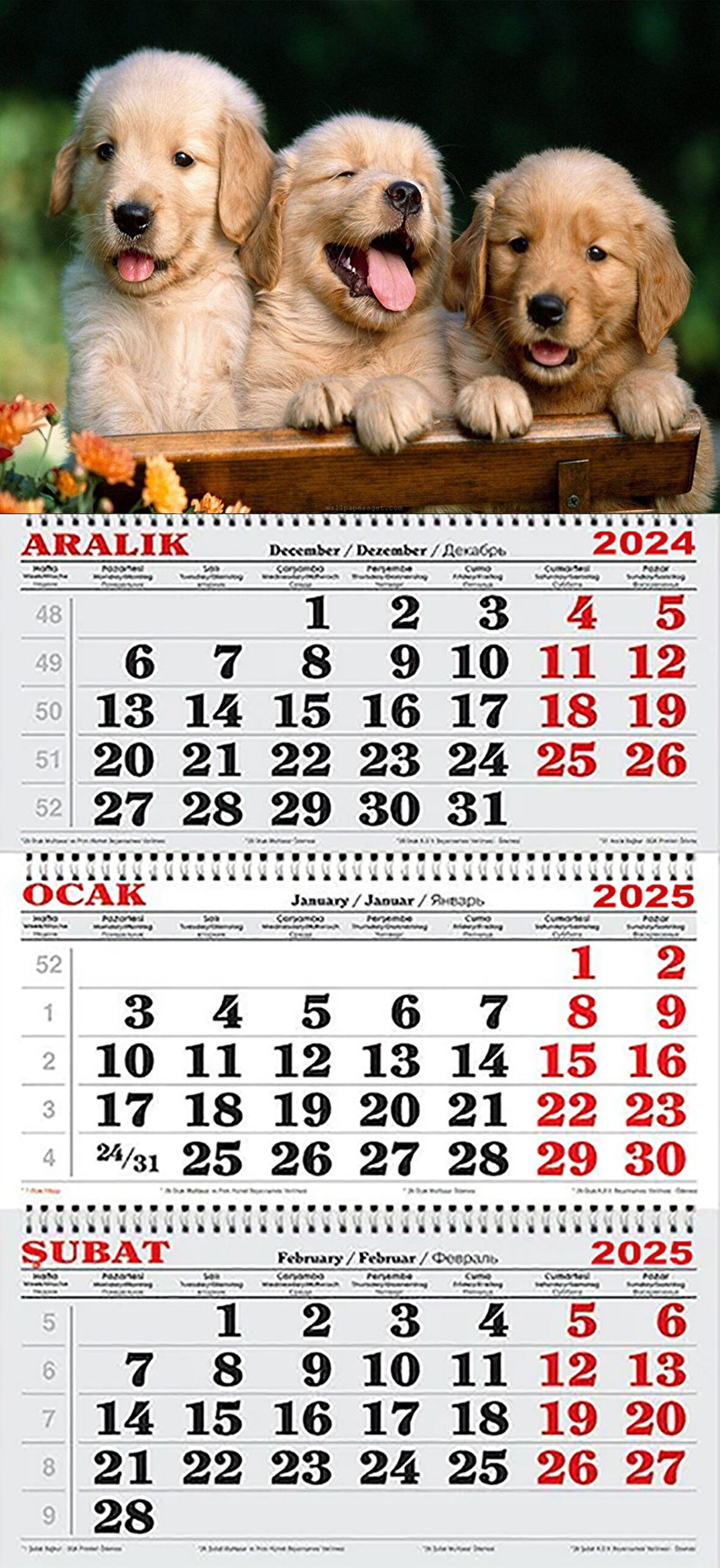 2025 Yılı Gemici Takvimi-Golden Kardeşler