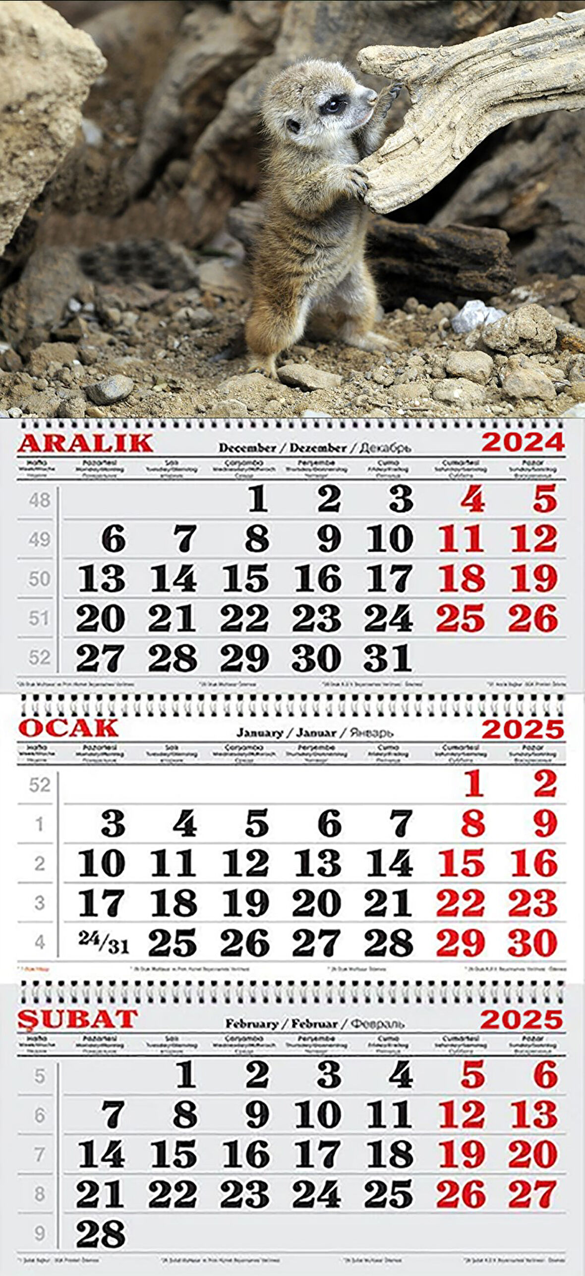 2025 Yılı Gemici Takvimi-Mirket