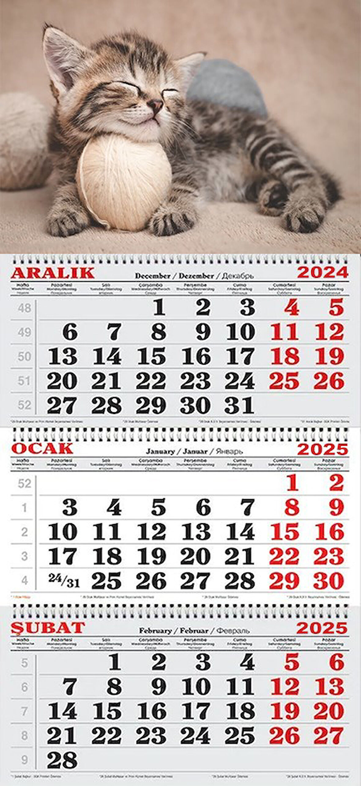 2025 Yılı Gemici Takvimi----MİNNOŞ TEKİR KEDİ