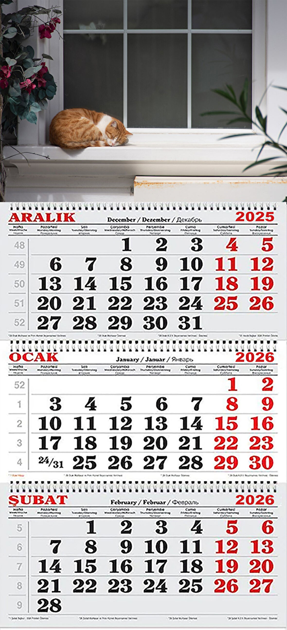 2026 Yılı Gemici Takvimi-Pencere Önünde Uyuyan Kedi