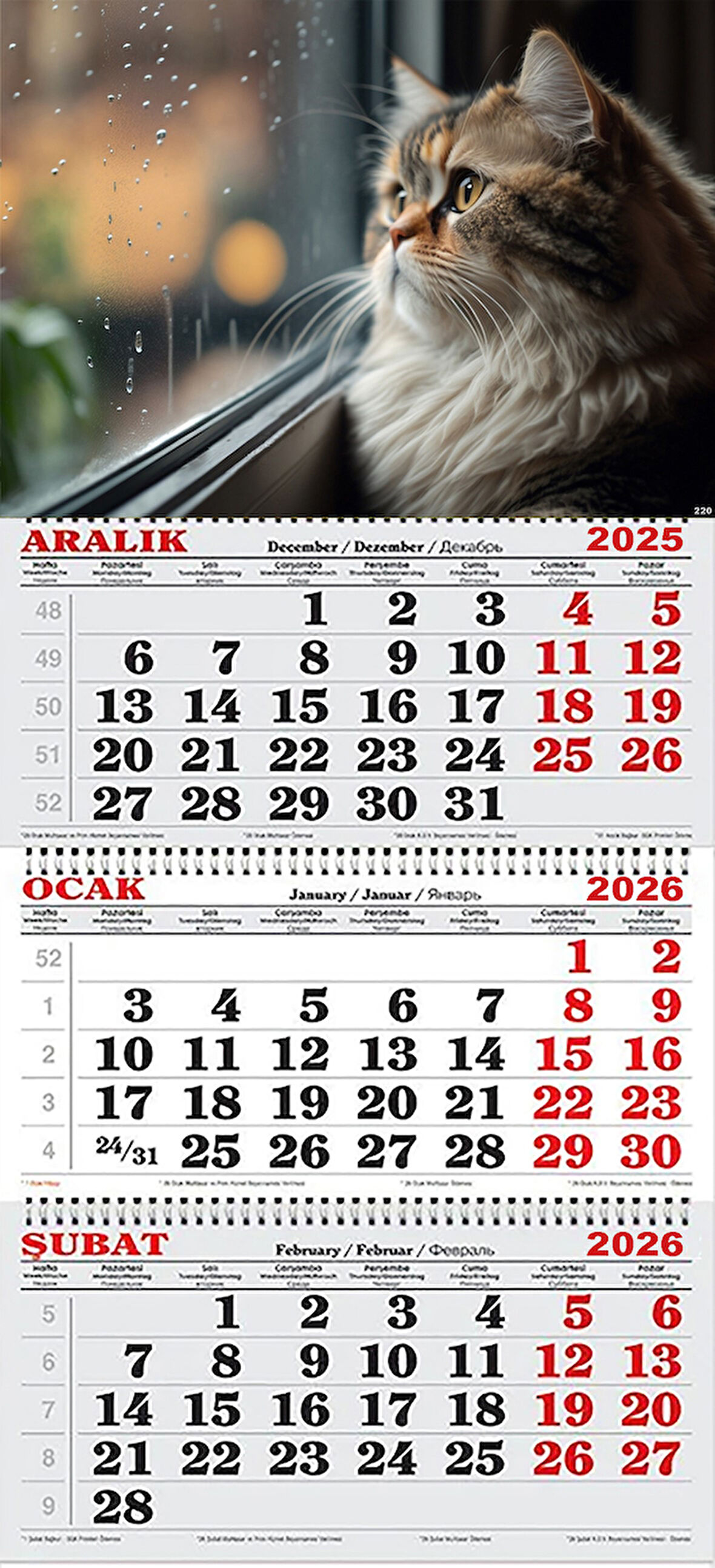 2026 Yılı Gemici Takvimi- Yağmurlu Hava ve Pencere Kenarındaki Kedi