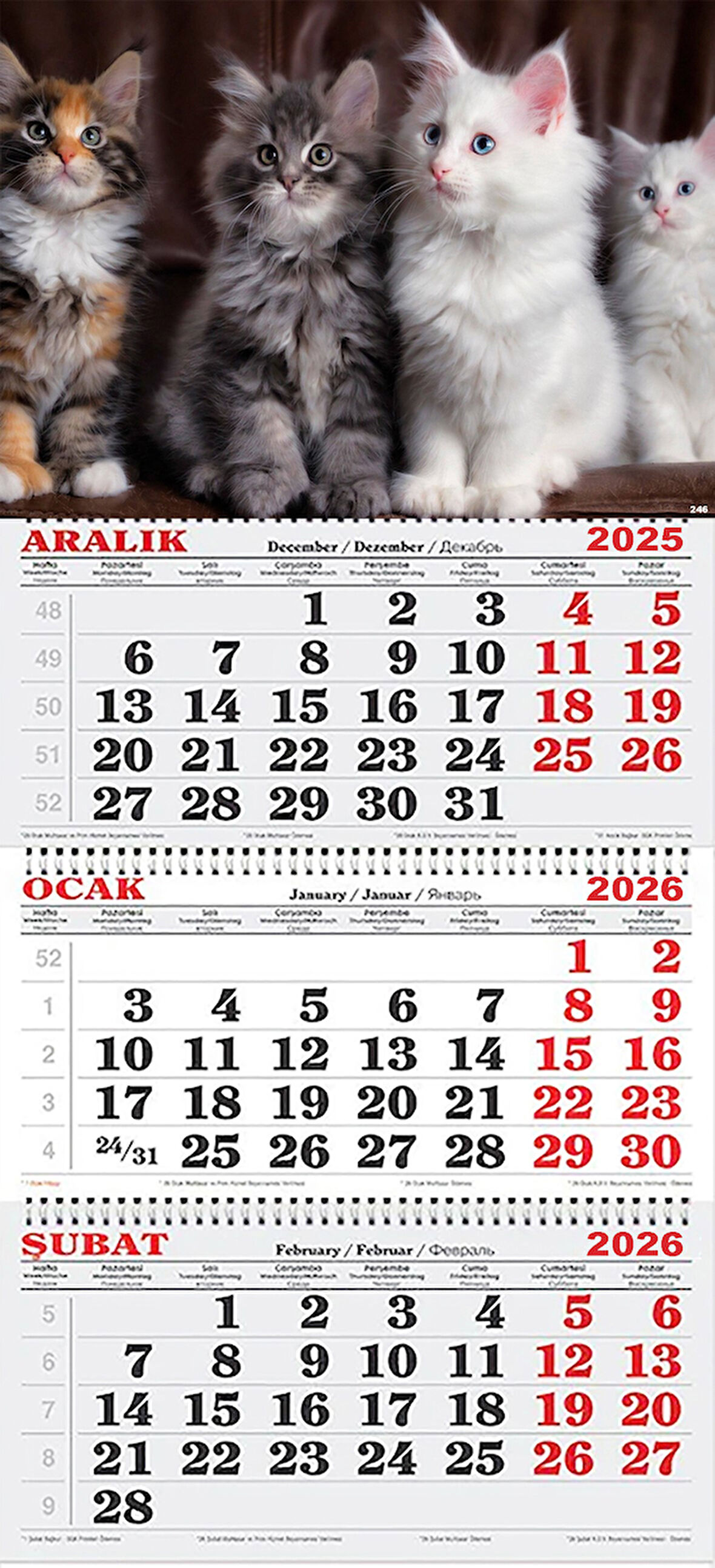 2026 Yılı Gemici Takvimi-Şaşkın Kediler
