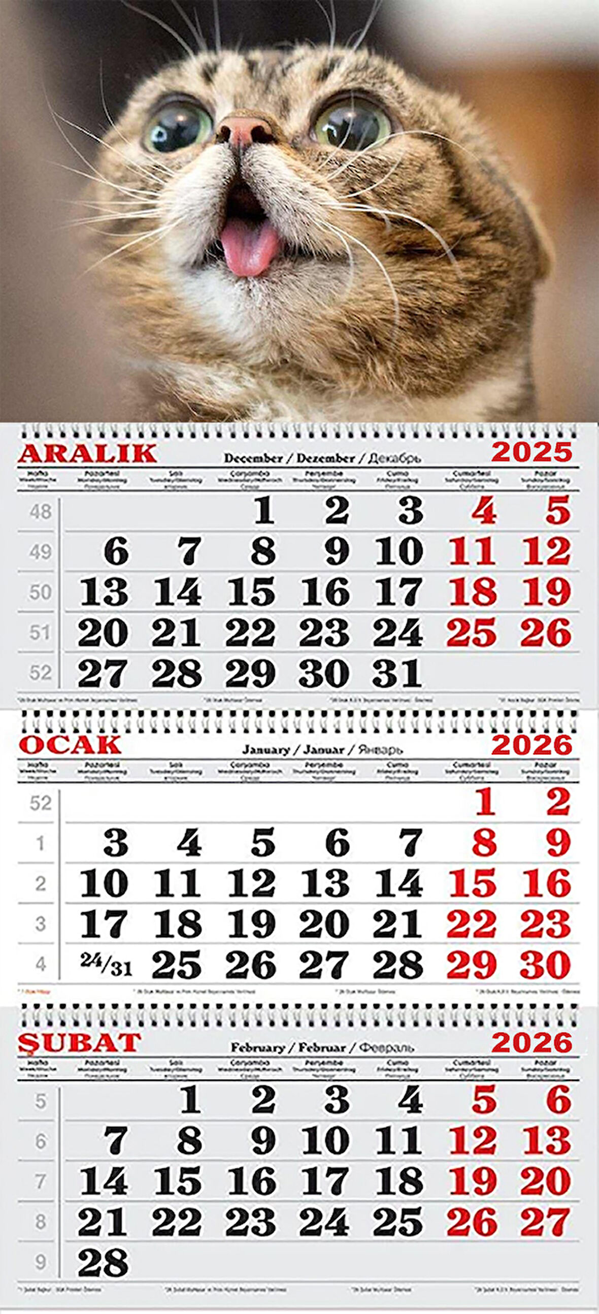 2026 Yılı Gemici Takvimi-Kedi
