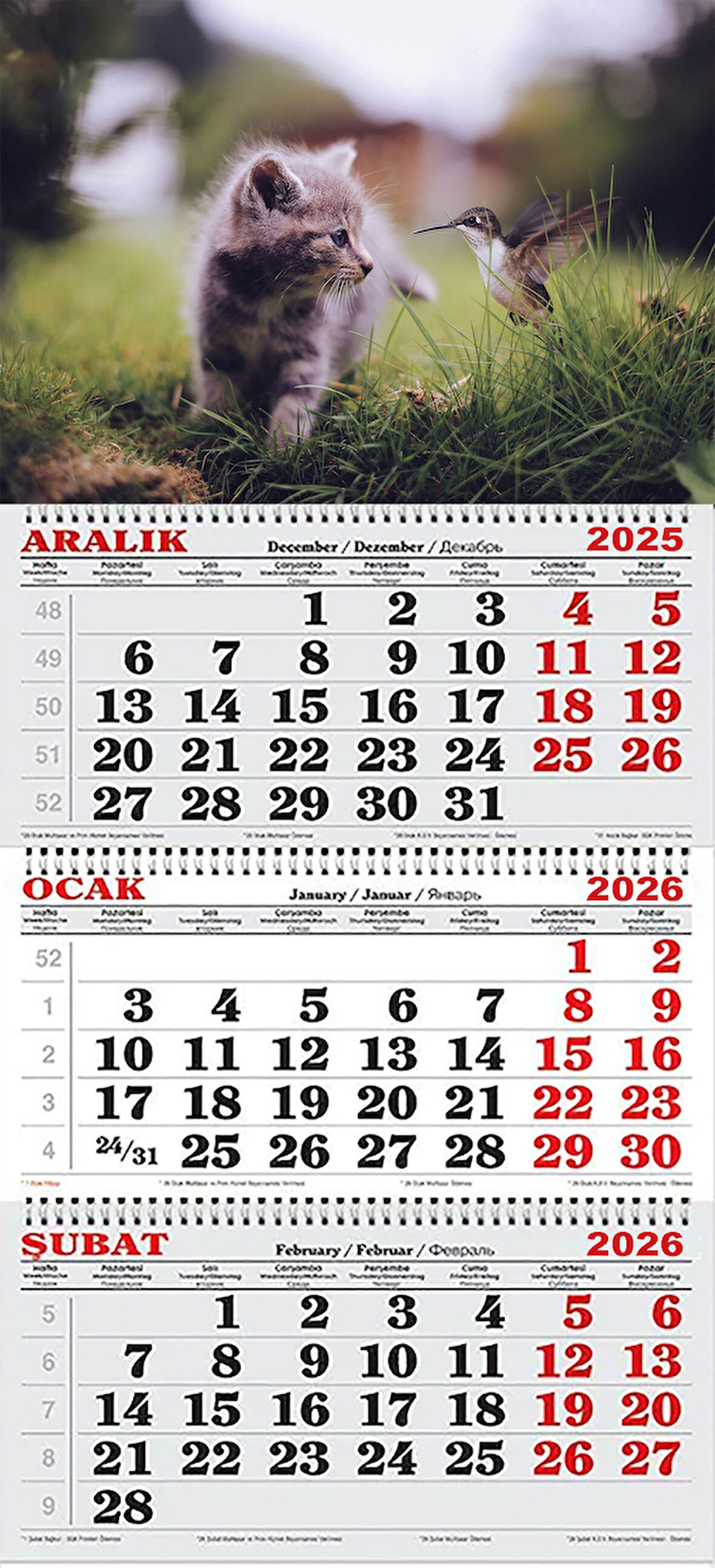  2026 Yılı Gemici Takvimi-Kedi ve Kuş