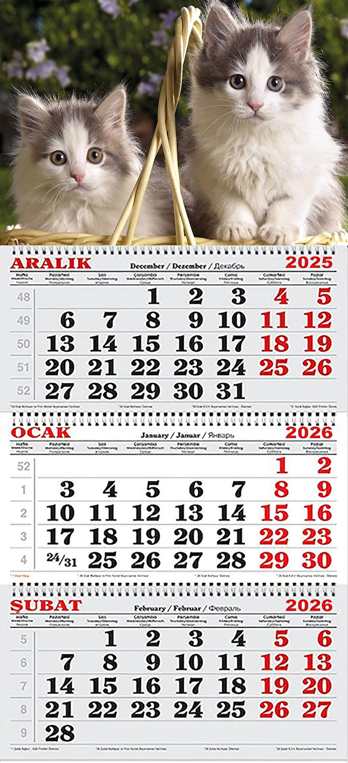 2026 Yılı Gemici Takvimi-Fotoğraf Çektiren Kediler