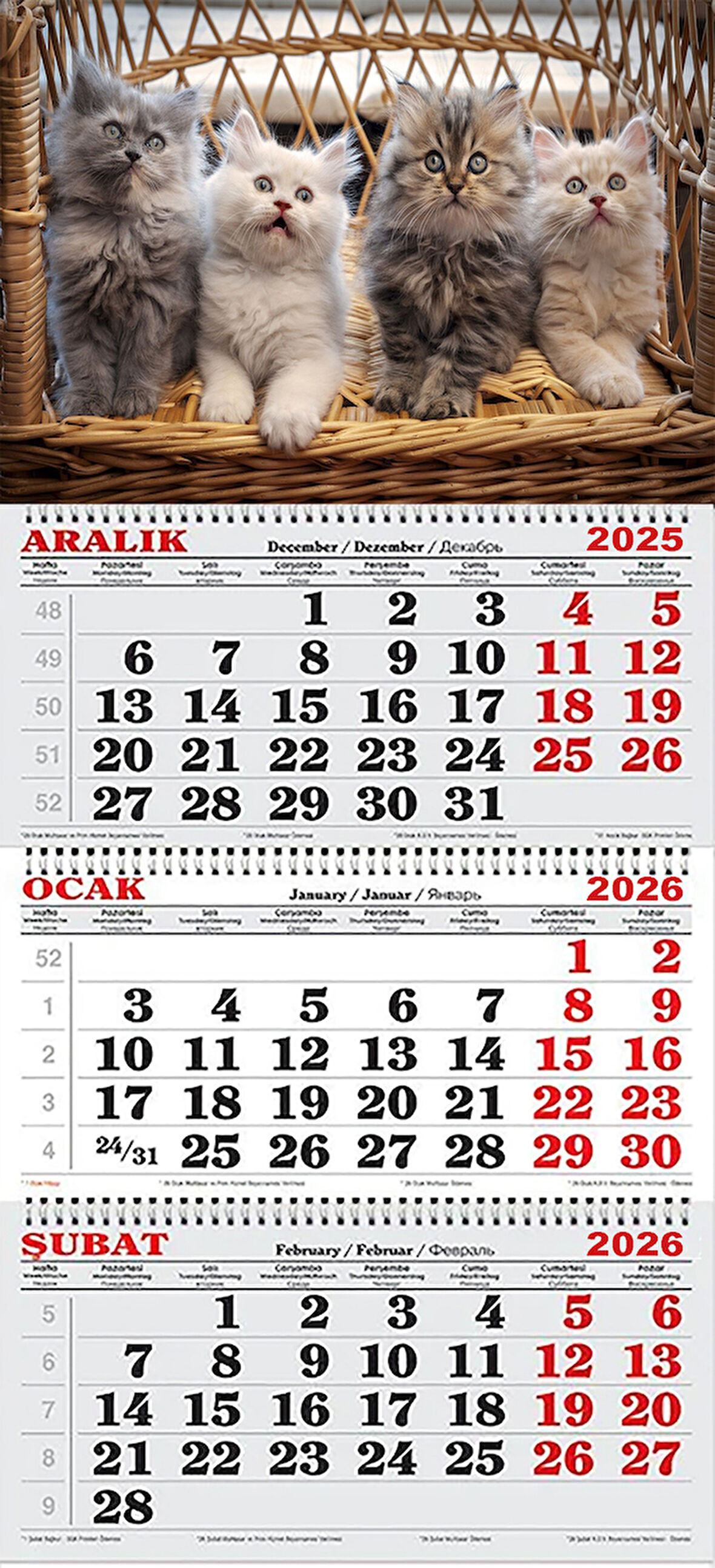 2026 Yılı Gemici Takvimi-Yavru Kediler