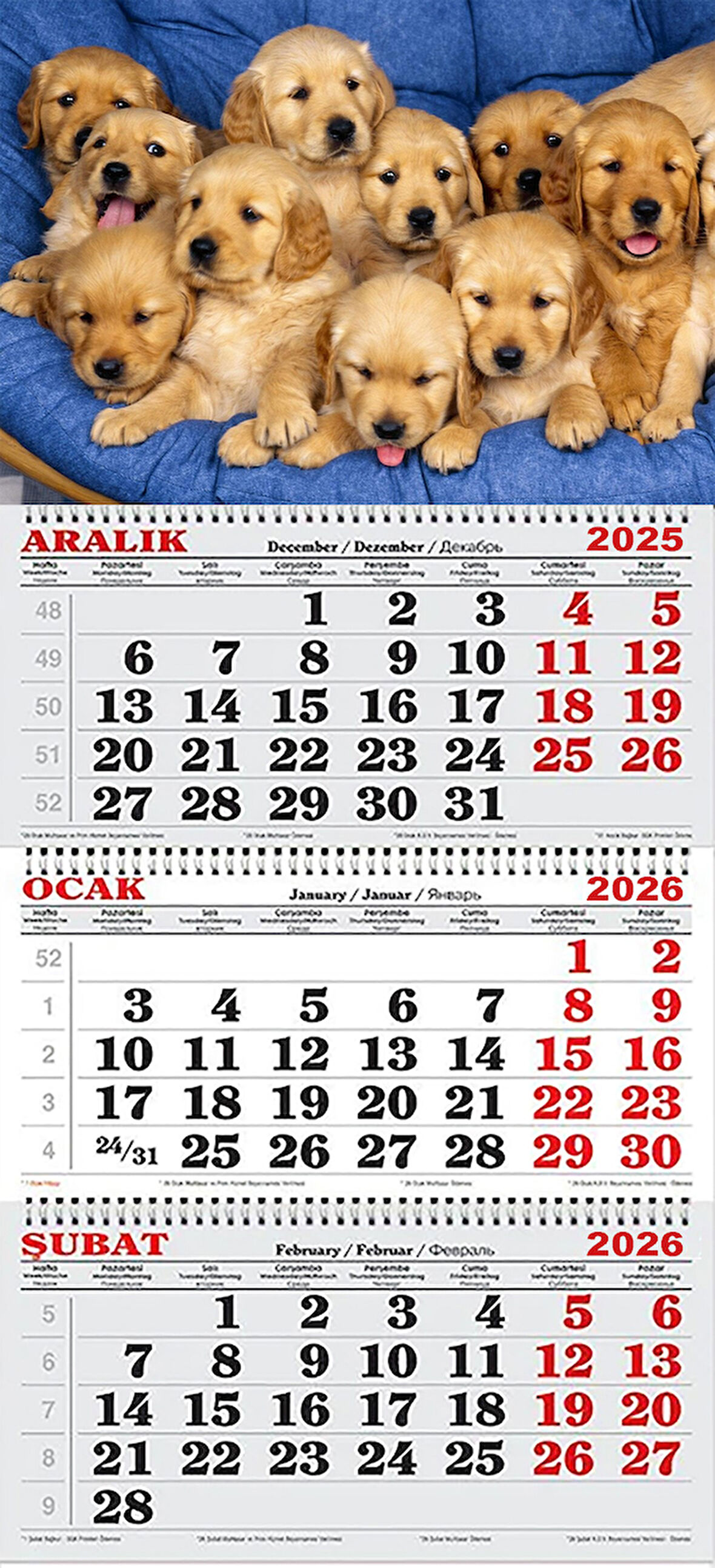 2026 Yılı Gemici Takvimi-Golden Yavruları