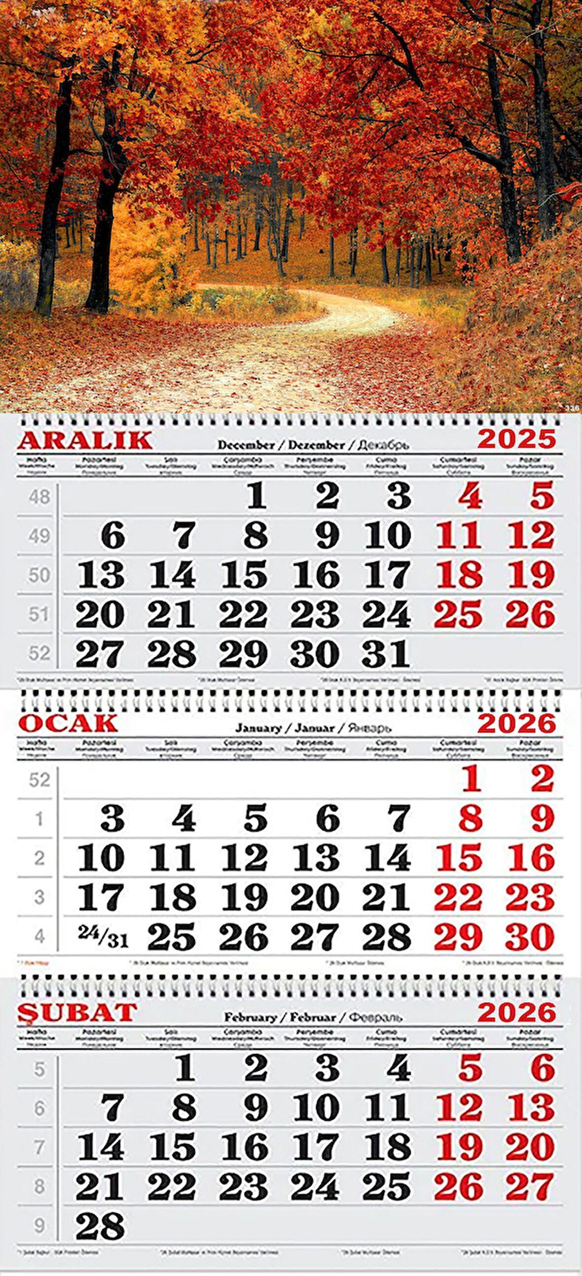 2026 Yılı Gemici Takvimi- Sonbahar ve Ağaçlı Yol