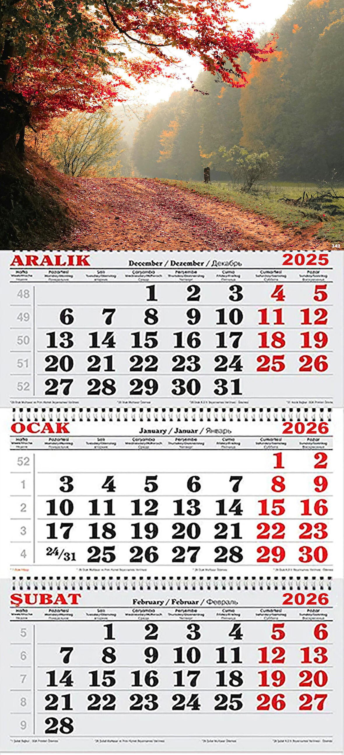 2026 Yılı Gemici Takvimi- Ormanda Yağmurlu Sonbahar Günü