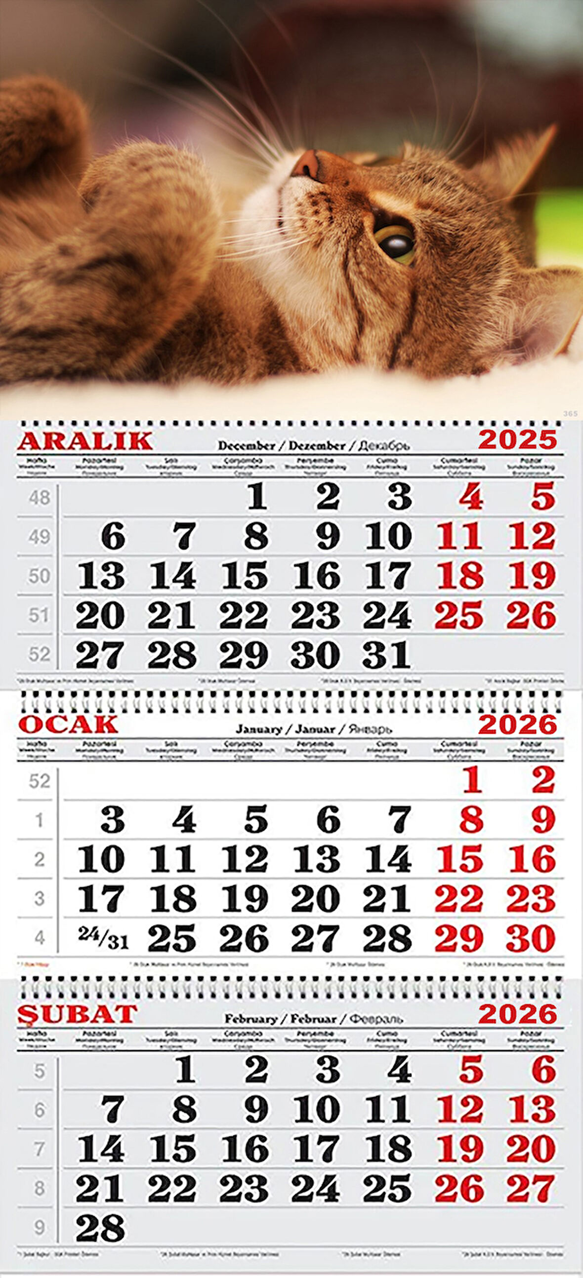 2026 Yılı Gemici Takvimi- Kedi