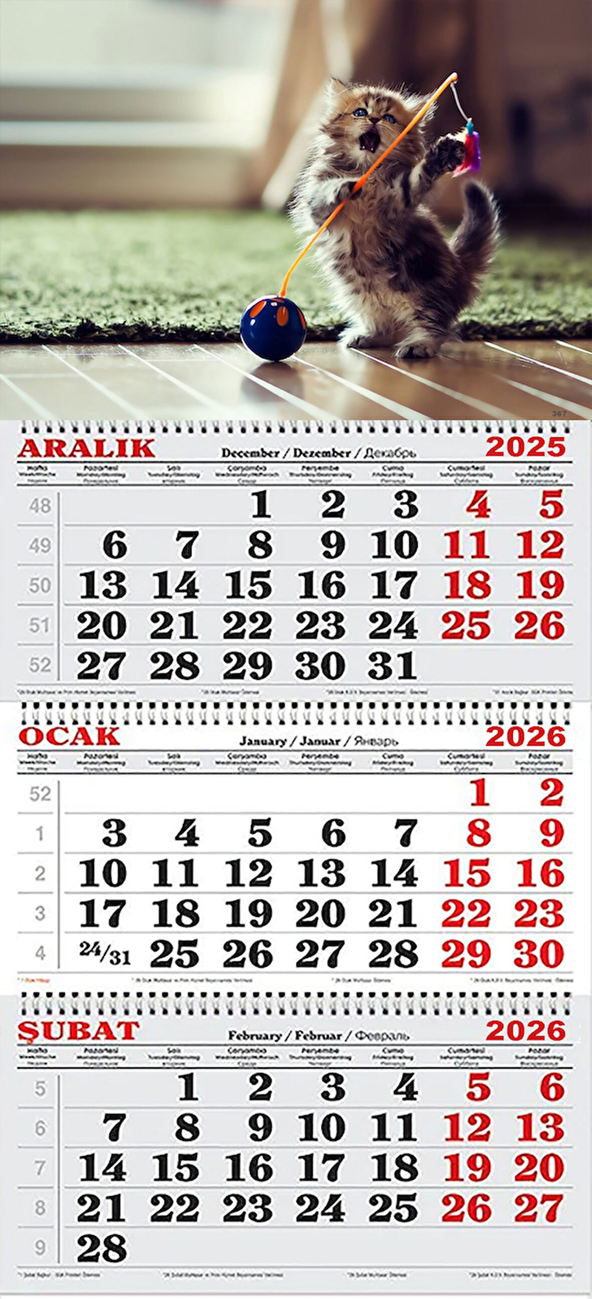 2026 Yılı Gemici Takvimi- Yavru Kedi ve Oyuncağı