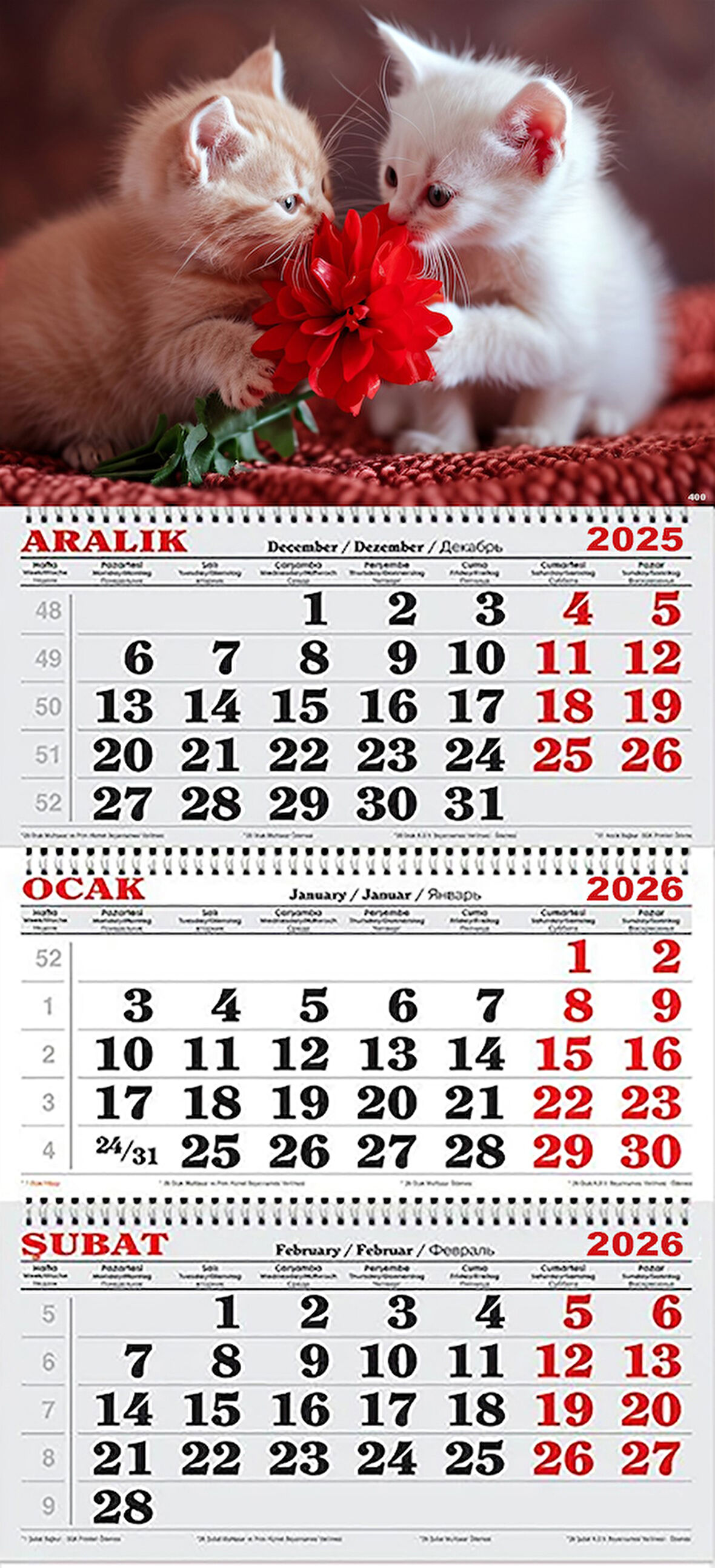 2026 Yılı Gemici Takvimi- Yavru Kediler ve Kırmızı Çiçek