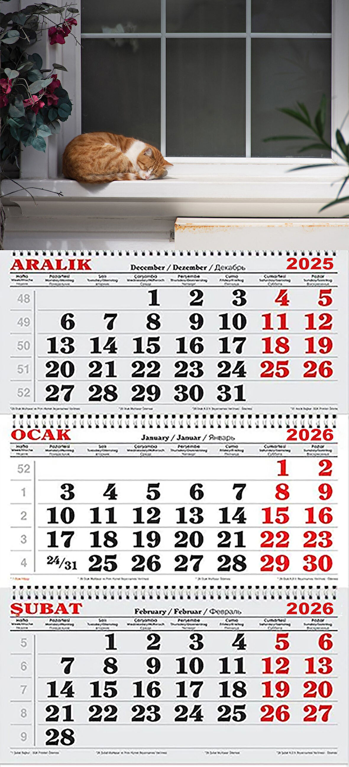 2026 Yılı Gemici Takvimi-Camın Önündeki Kedi