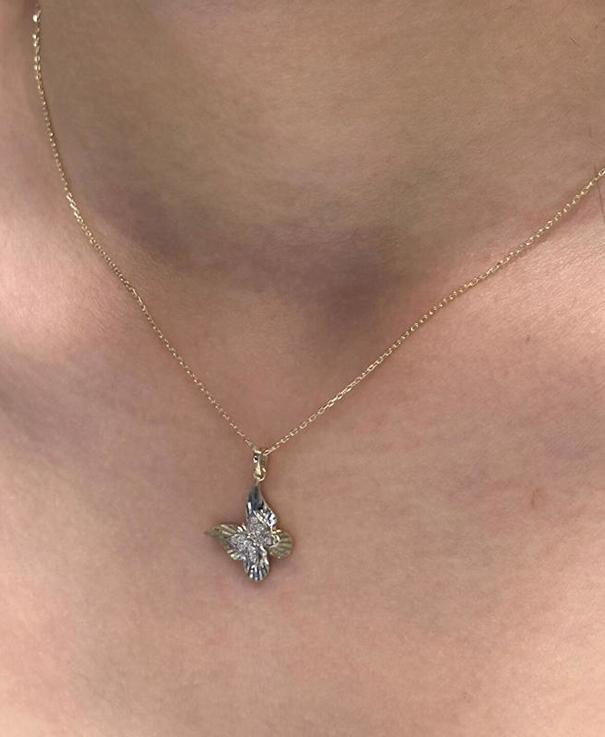 14 Ayar Altın Kelebek Kolye Ucu ve Zinciri 28187