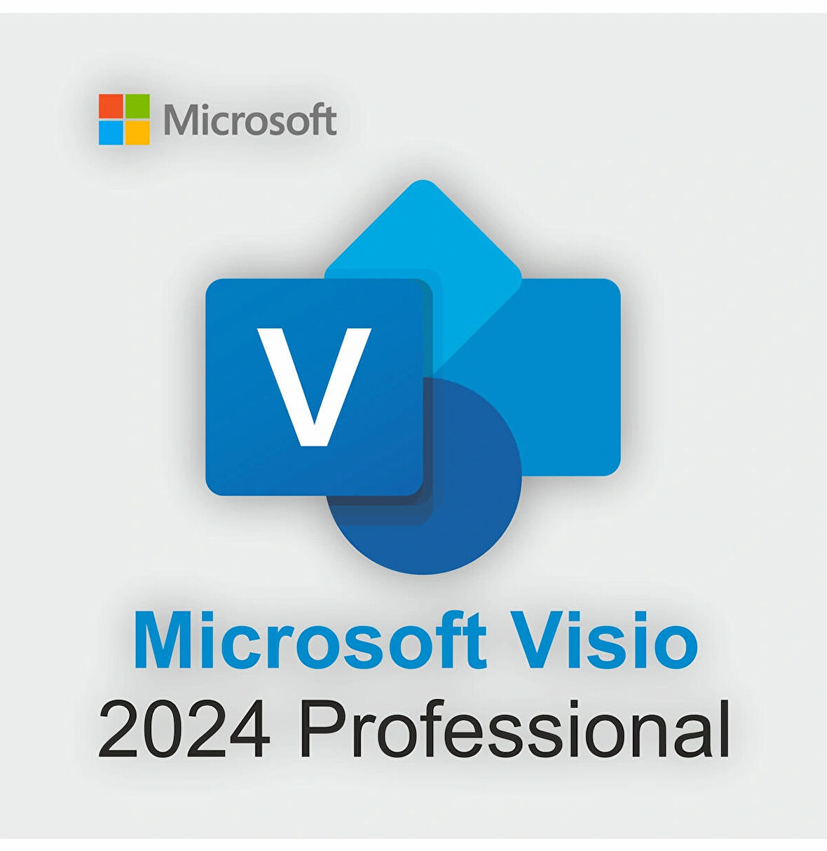 Microsoft Visio 2024 Professional Dijital Lisans Anahtarı