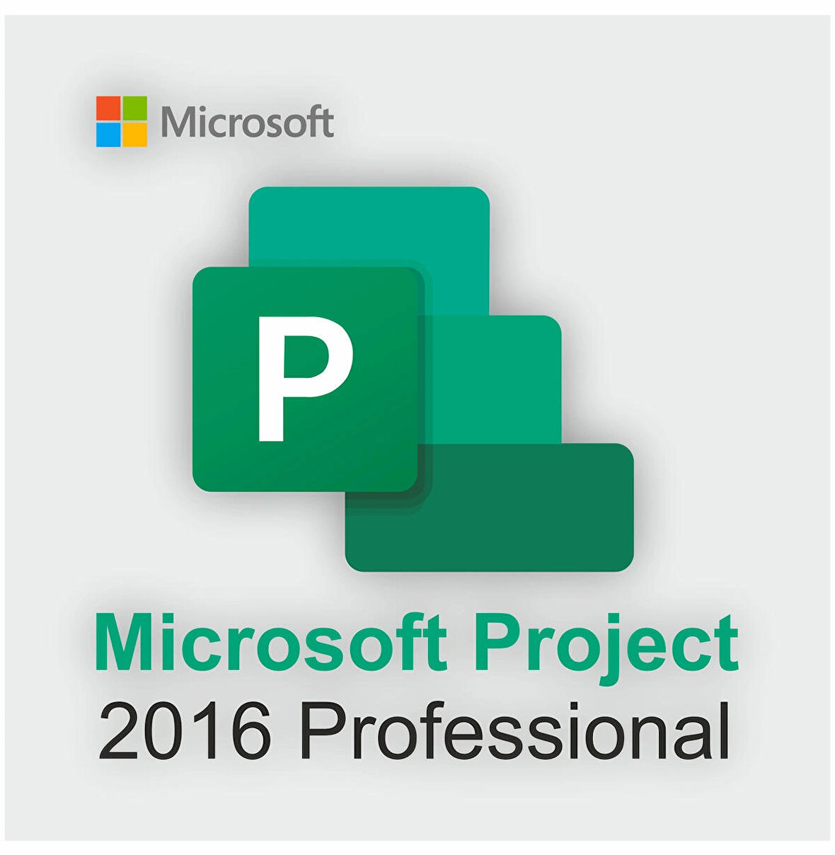 Microsoft Project 2016 Professional Dijital Lisans Anahtarı