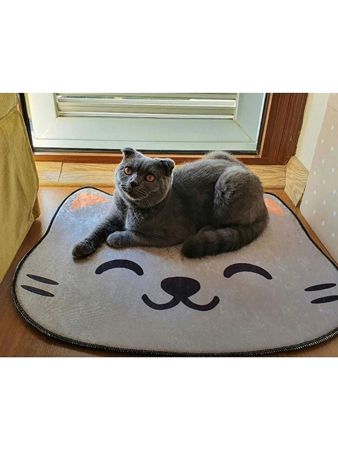  Kedi Desenli Tuvalet / Mama Önü Paspası 50X60 cm