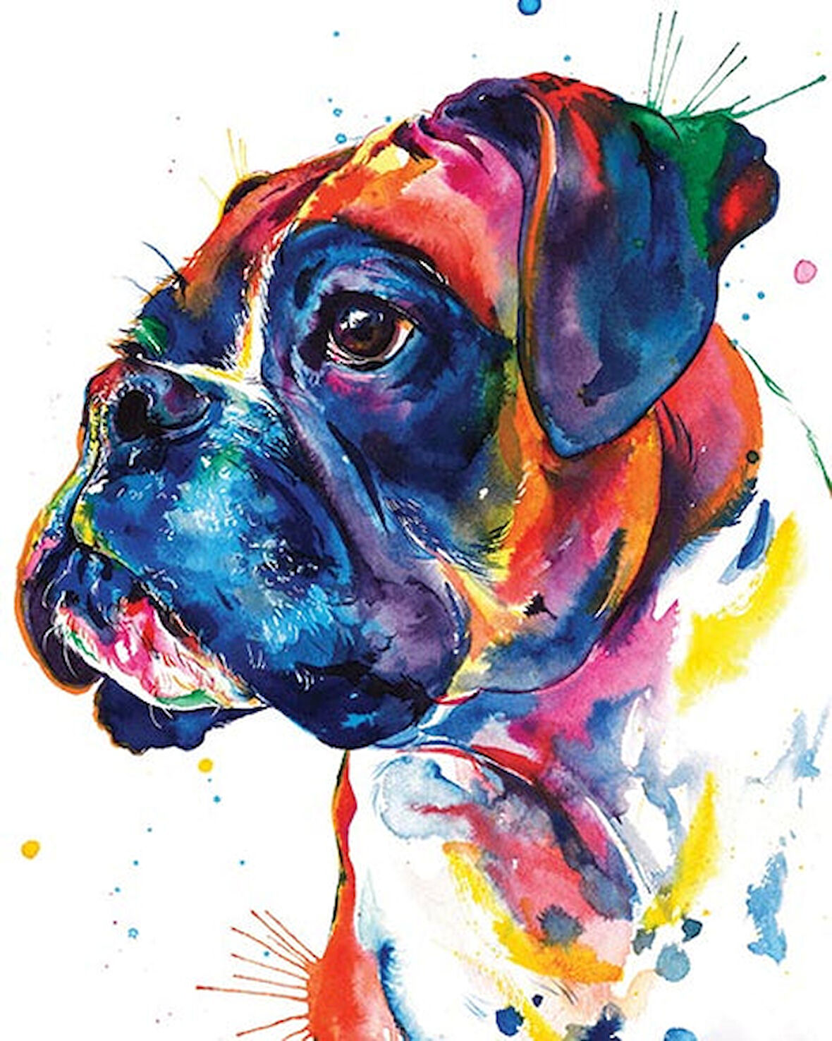 Renkli Boxer Çerçevesiz 40x50 Sayılarla Boyama Hobi Seti
