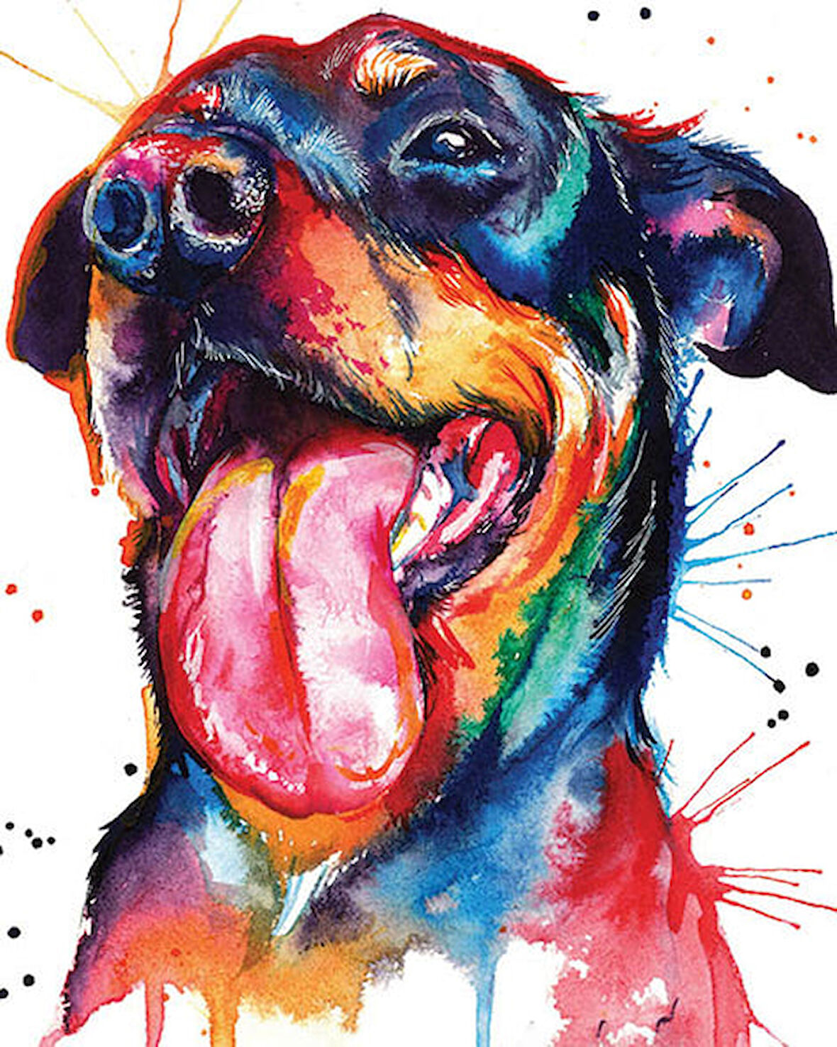 Renkli Rottweiler Çerçevesiz 40x50 Sayılarla Boyama Hobi Seti