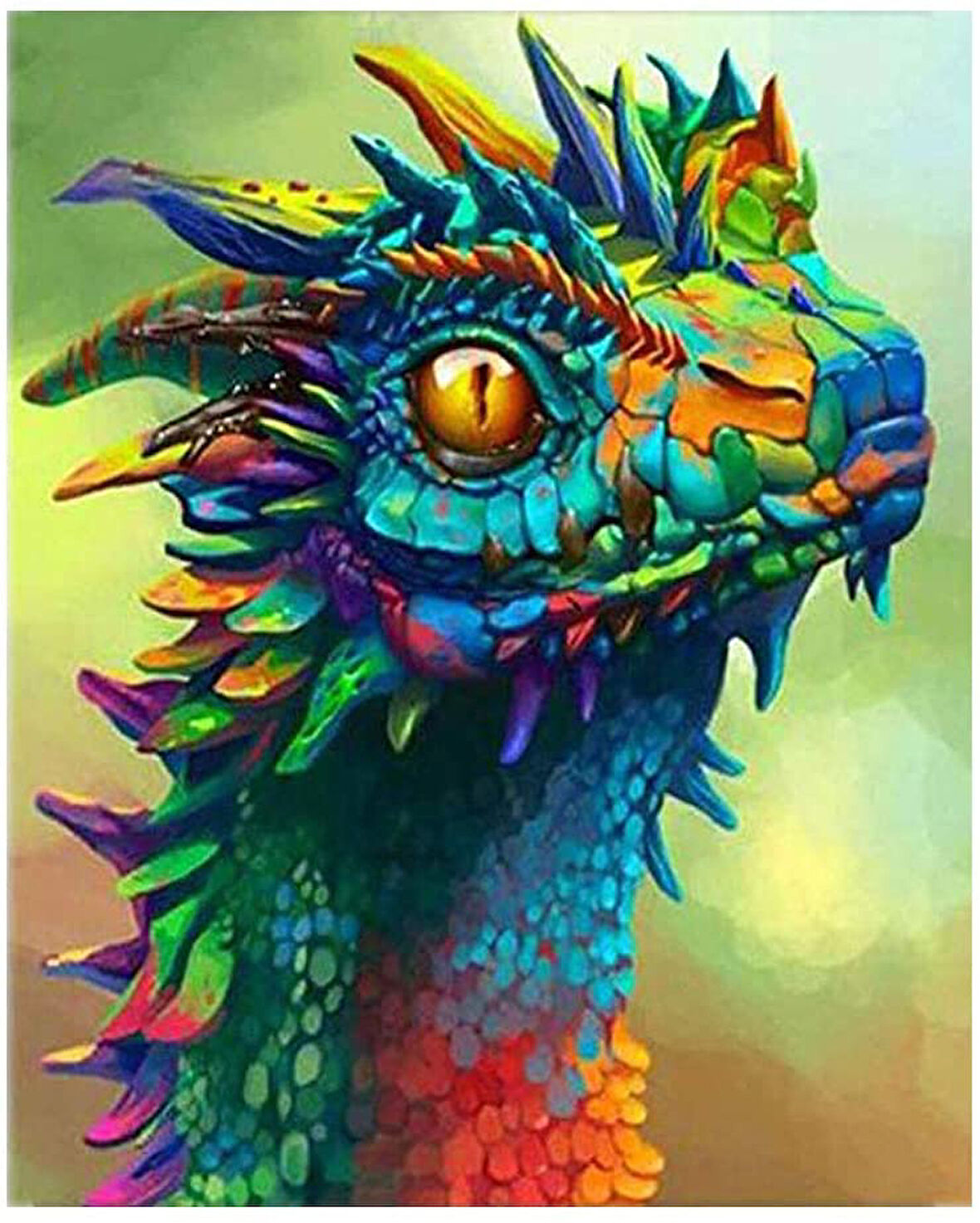 Rengarenk Dragoncuk Çerçevesiz 40x50 Sayılarla Boyama Hobi Seti