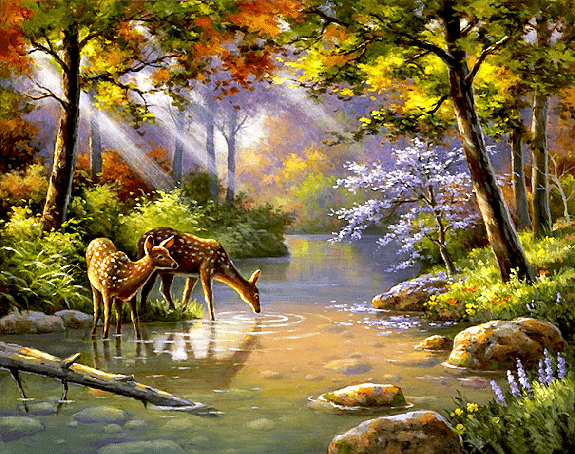 Sevimli Geyikler Çerçevesiz 40x50 Sayılarla Boyama Hobi Seti