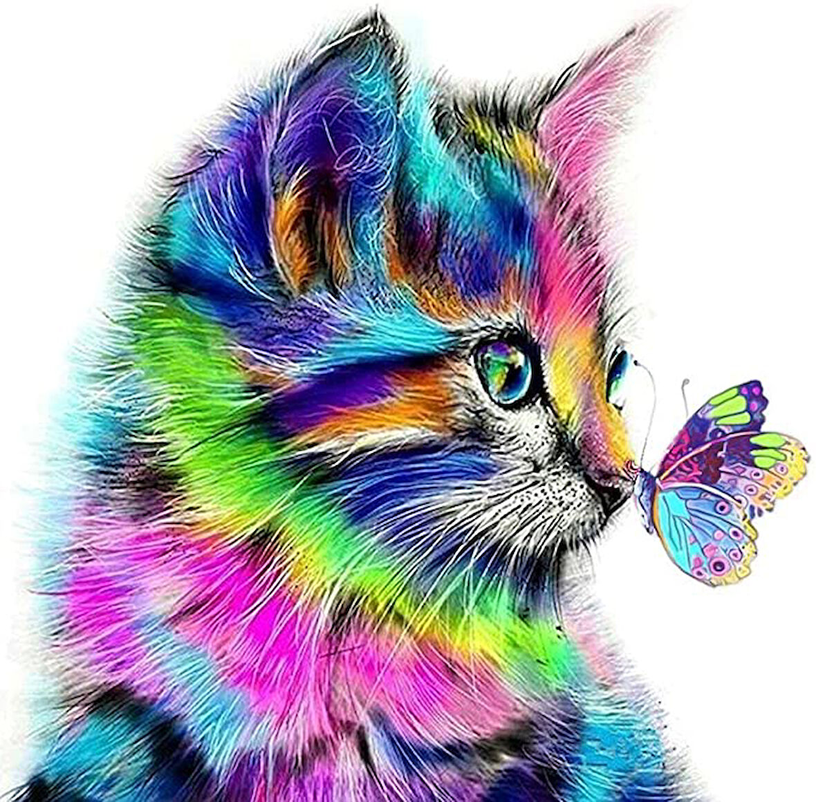Rengarenk Kedi ve Kelebek Çerçevesiz 60x75 Sayılarla Boyama Hobi Seti