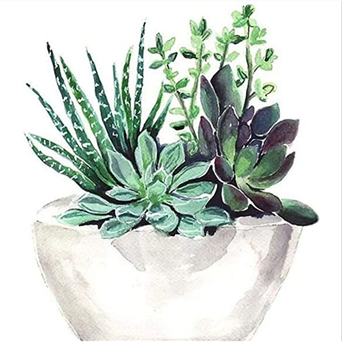 Taş Vazo Çerçevesiz 60x75 Sayılarla Boyama Hobi Seti