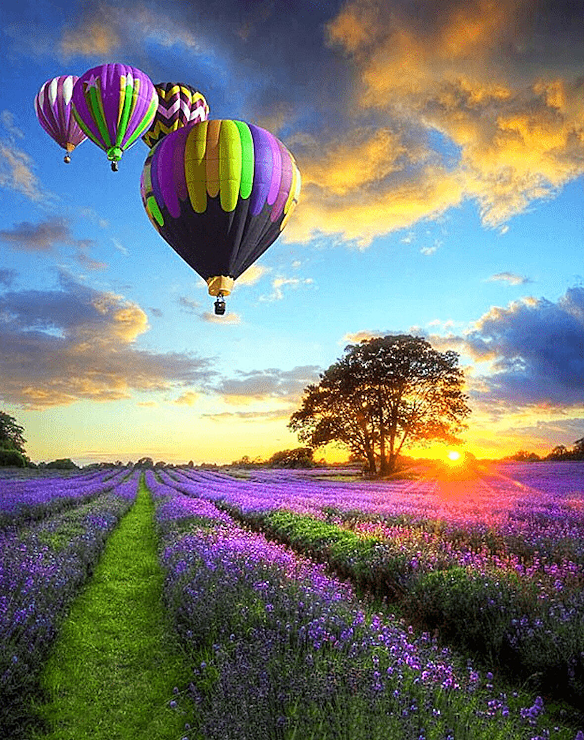 Günbatımı Ve Uçan Balonlar Çerçevesiz 60x75 Sayılarla Boyama Hobi Seti