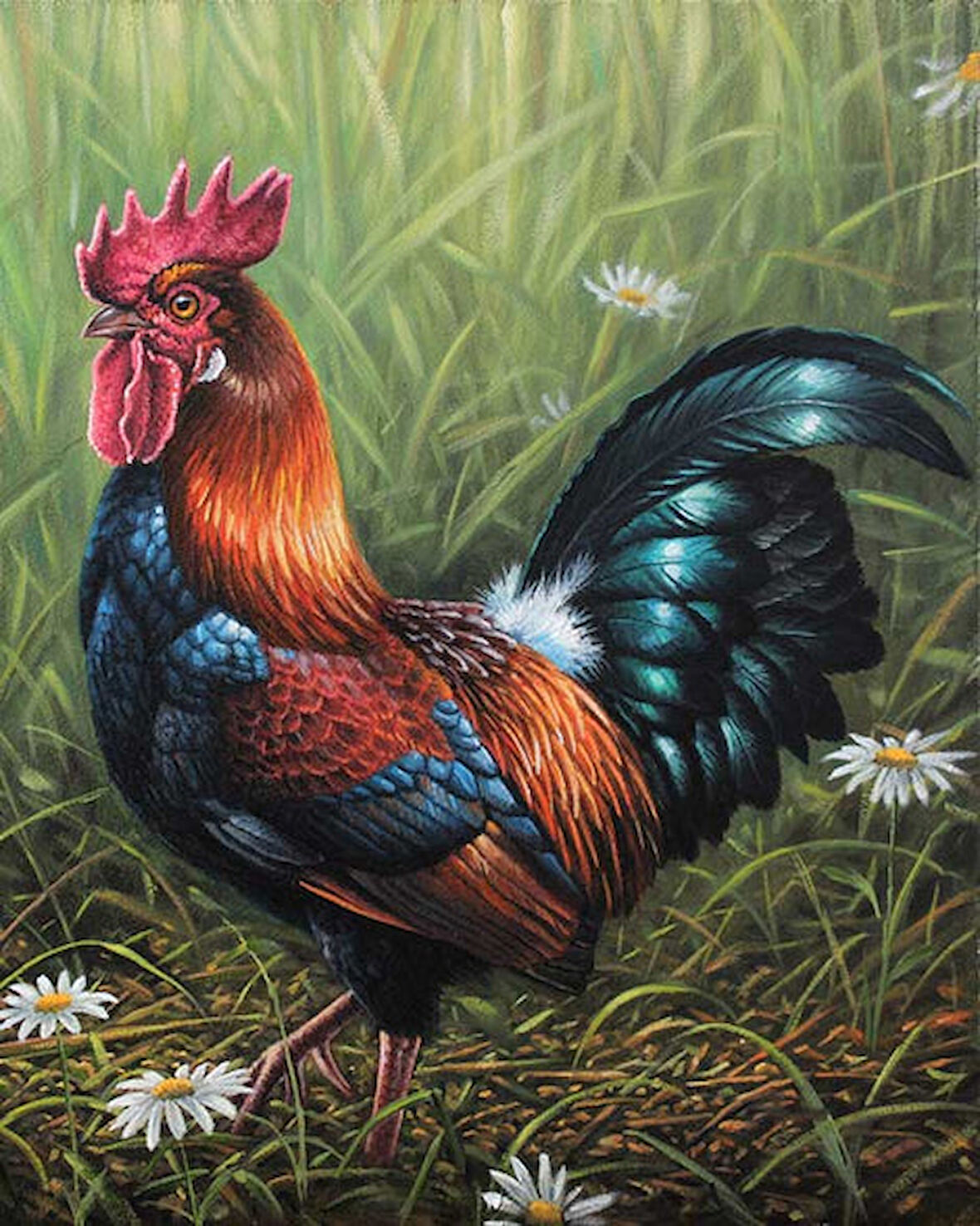 Erken Öten Horoz Çerçevesiz 70x90 Sayılarla Boyama Hobi Seti