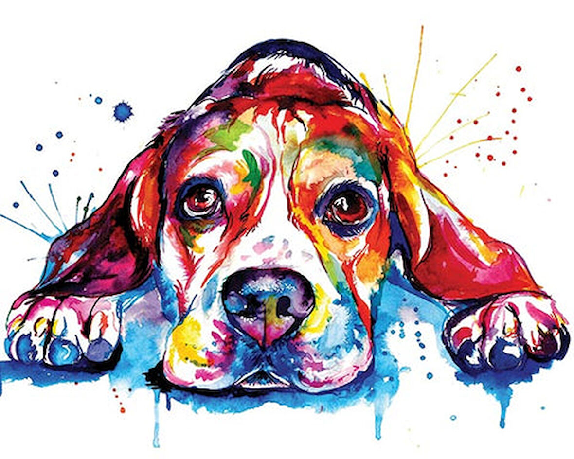 Renkli Köpek Çerçevesiz 70x90 Sayılarla Boyama Hobi Seti