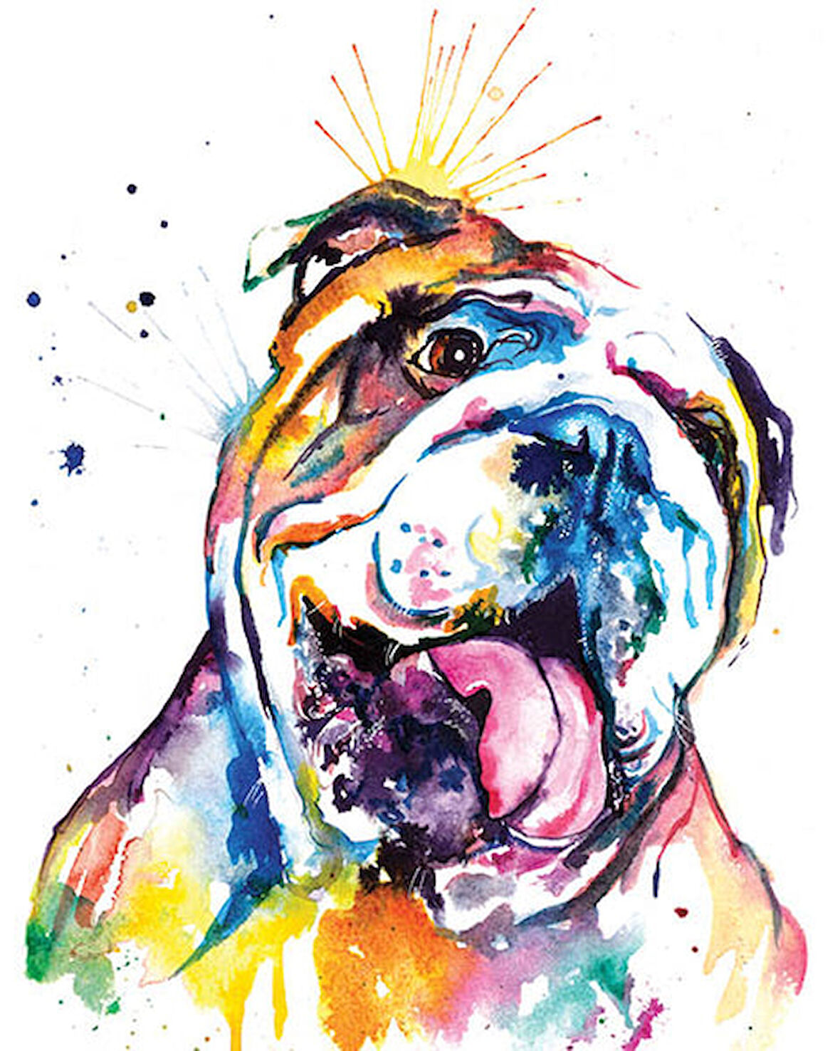 Renkli Buldog Çerçevesiz 70x90 Sayılarla Boyama Hobi Seti