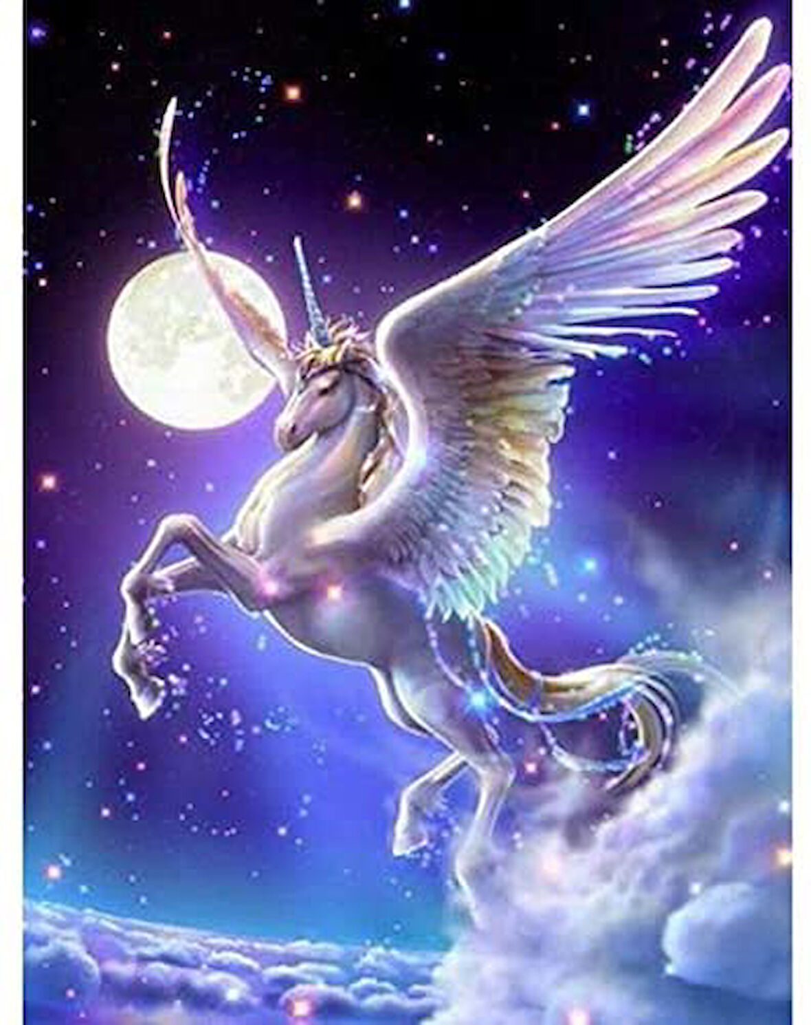 Fantastik Unicorn Çerçevesiz 70x90 Sayılarla Boyama Hobi Seti