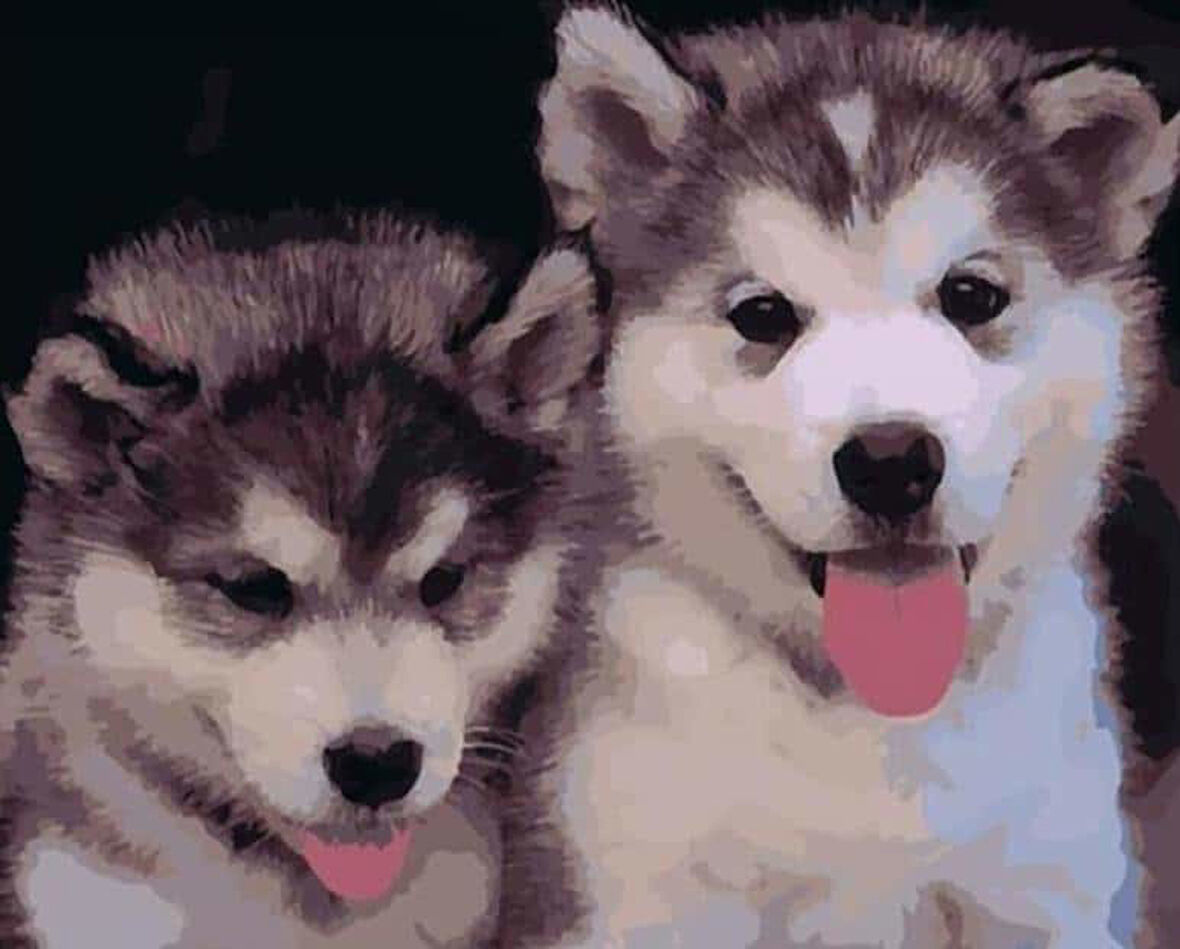 Yavru Köpekler Çerçevesiz 70x90 Sayılarla Boyama Hobi Seti