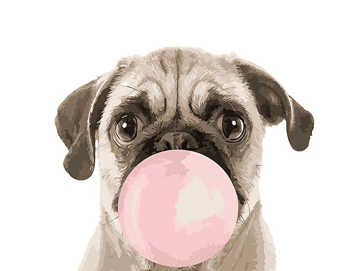 Pug Köpek Yavrusu Çerçevesiz 70x90 Sayılarla Boyama Hobi Seti
