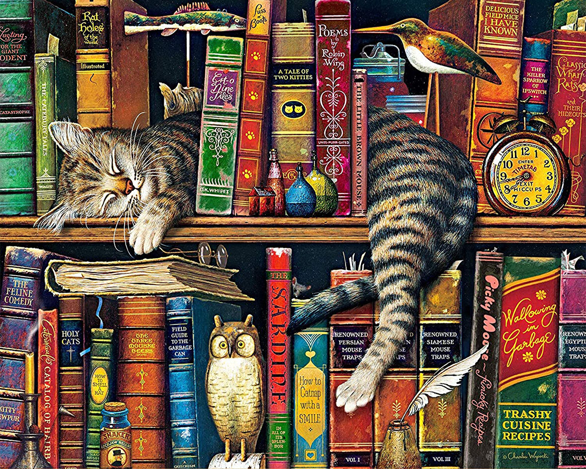 Haylaz Kedi Çerçevesiz 90x110 Sayılarla Boyama Hobi Seti