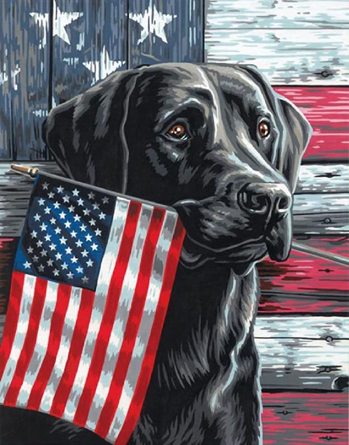 Milliyetçi Köpek Çerçevesiz 90x110 Sayılarla Boyama Hobi Seti