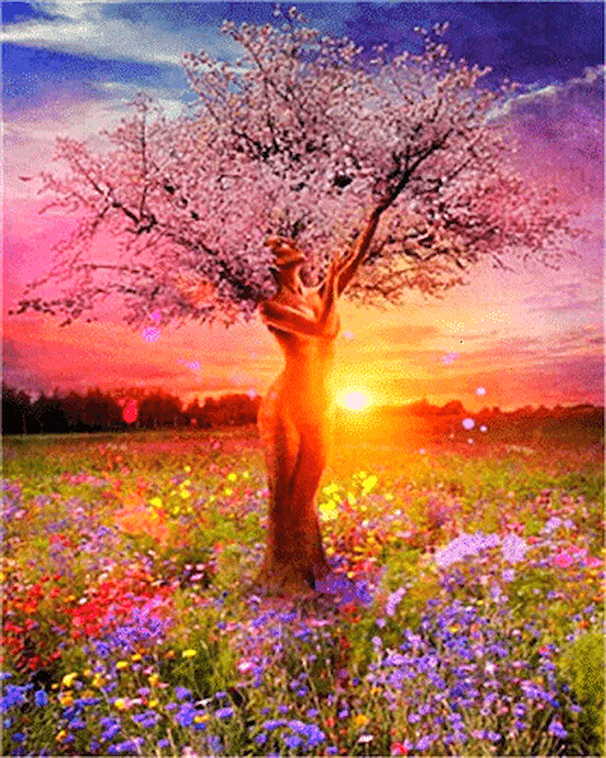Ağaç Kadın ve Günbatımı Çerçevesiz 90x110 Sayılarla Boyama Hobi Seti