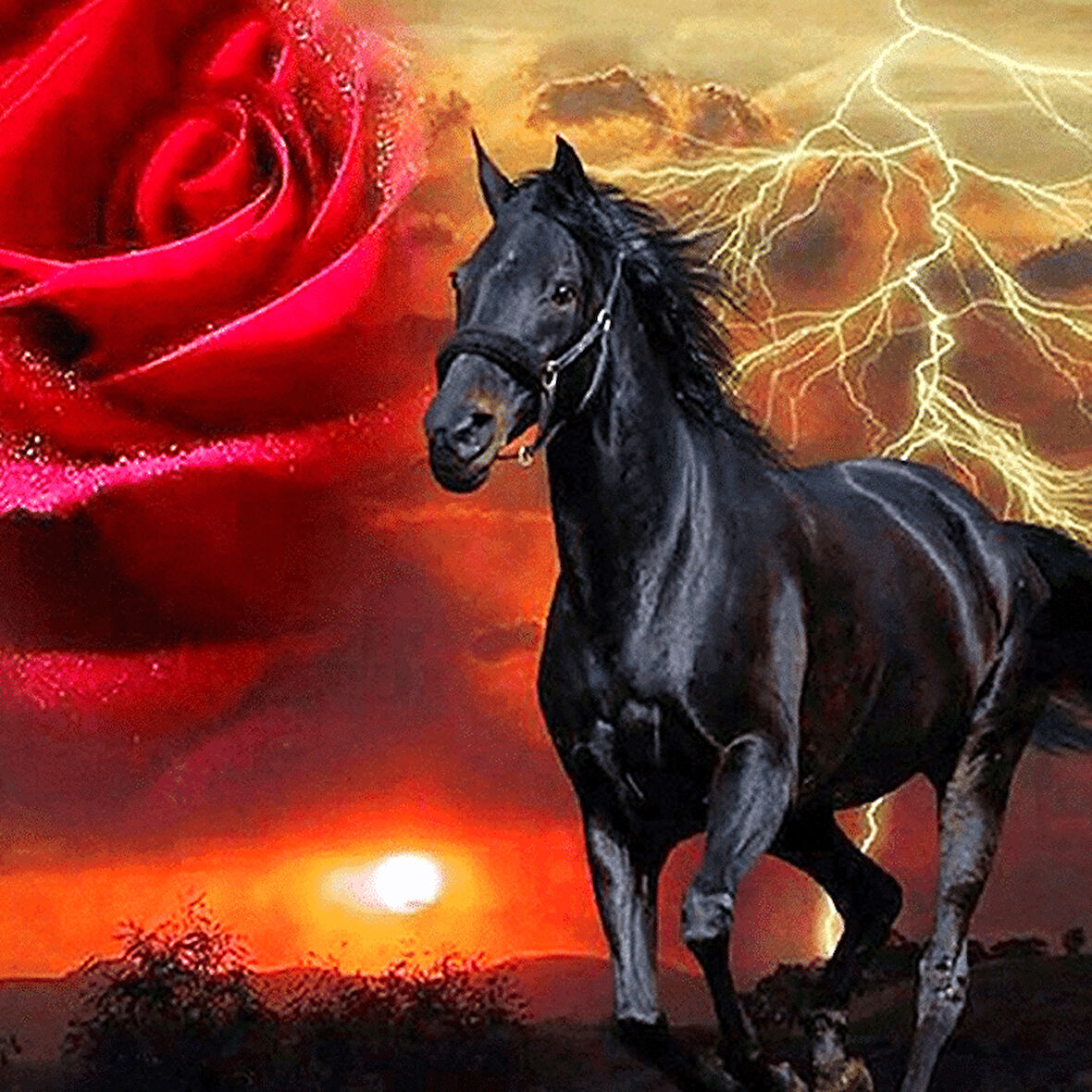 Kırmızı Gül ve Siyah At Çerçevesiz 90x110 Sayılarla Boyama Hobi Seti
