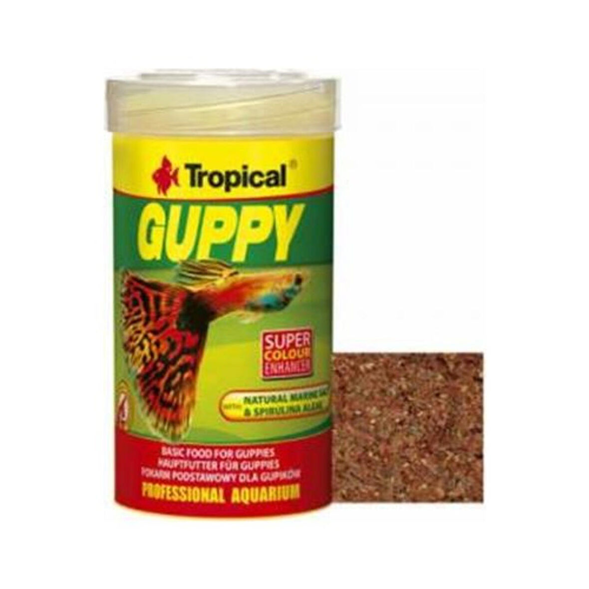 Tropical Guppy Lepistes İçin Pul Yem 100Ml