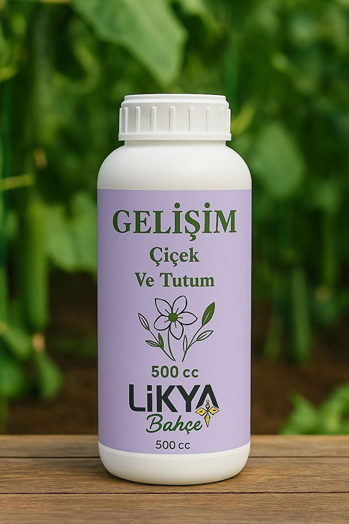 GELİŞİM SEBZE VE MEYVE BİTKİ BESİNİ