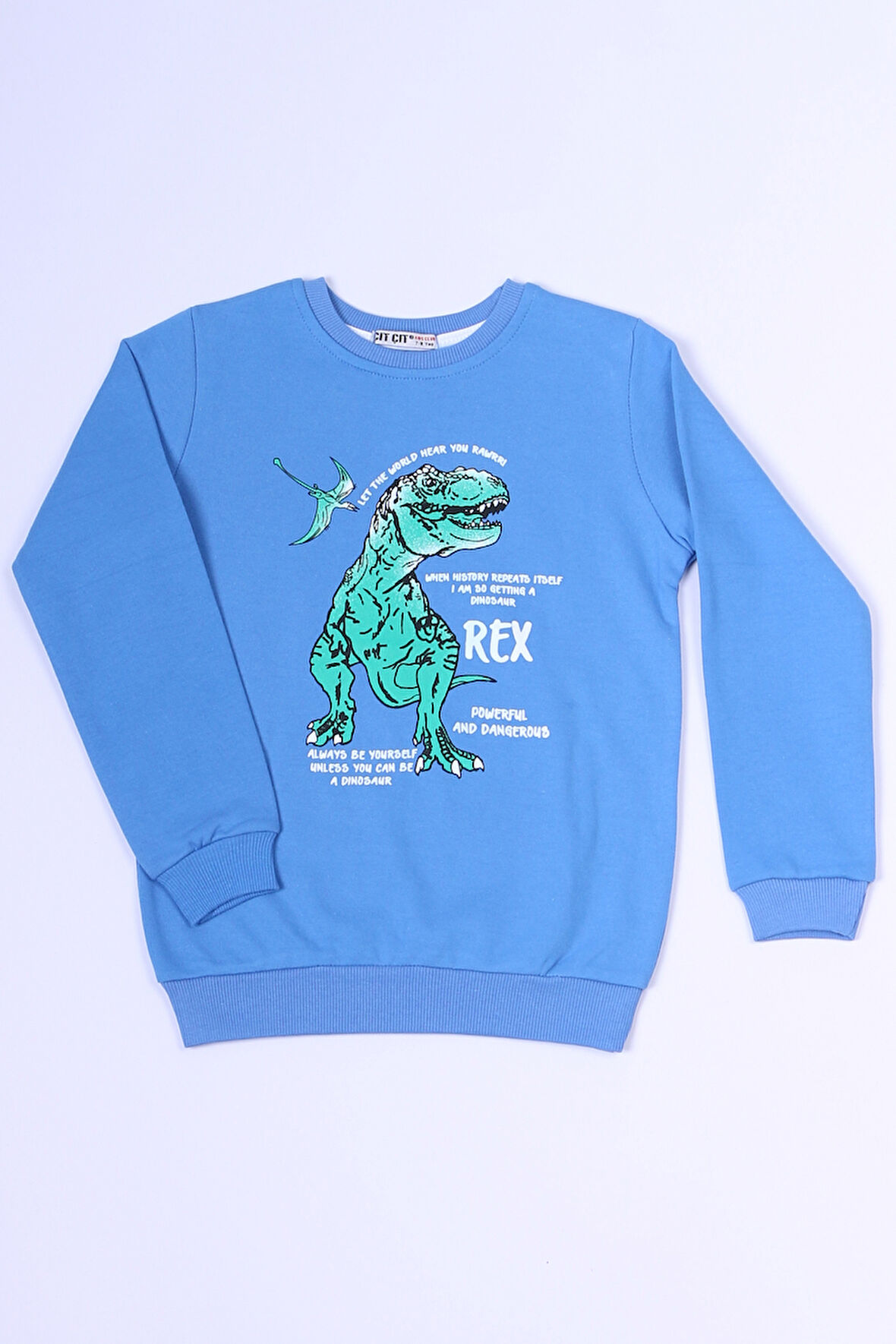 ERKEK ÇOCUK SWEAT DİNOZOR BASKILI RİBANALI C54