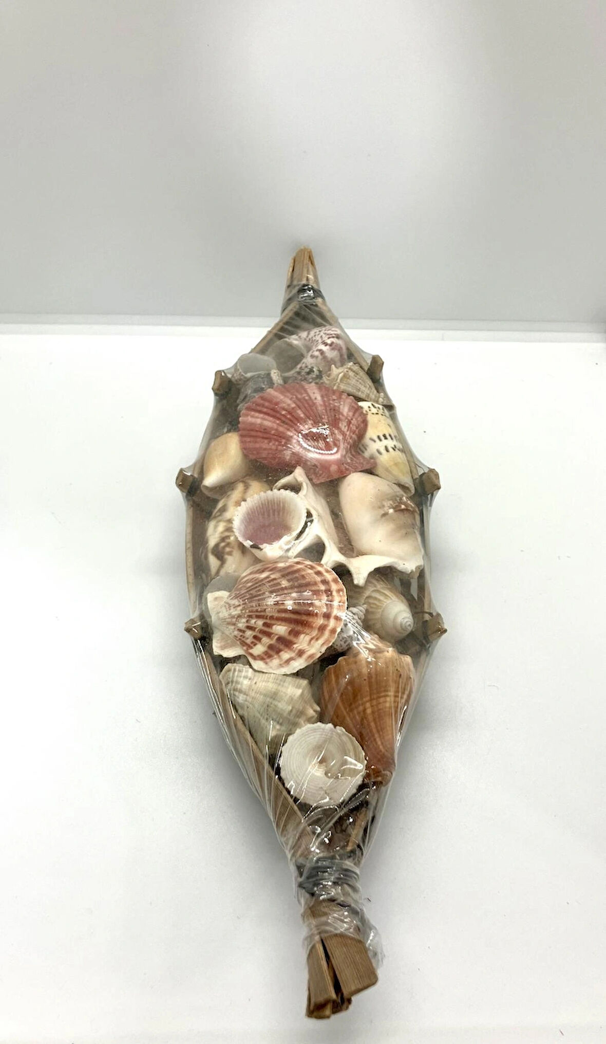 Gondol Deniz Kabuğu Biblo 37 cm