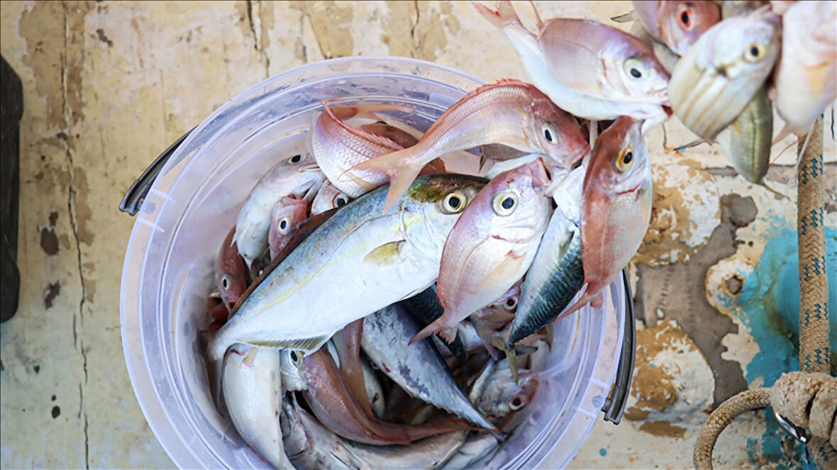 Misina İpi 300 Metre