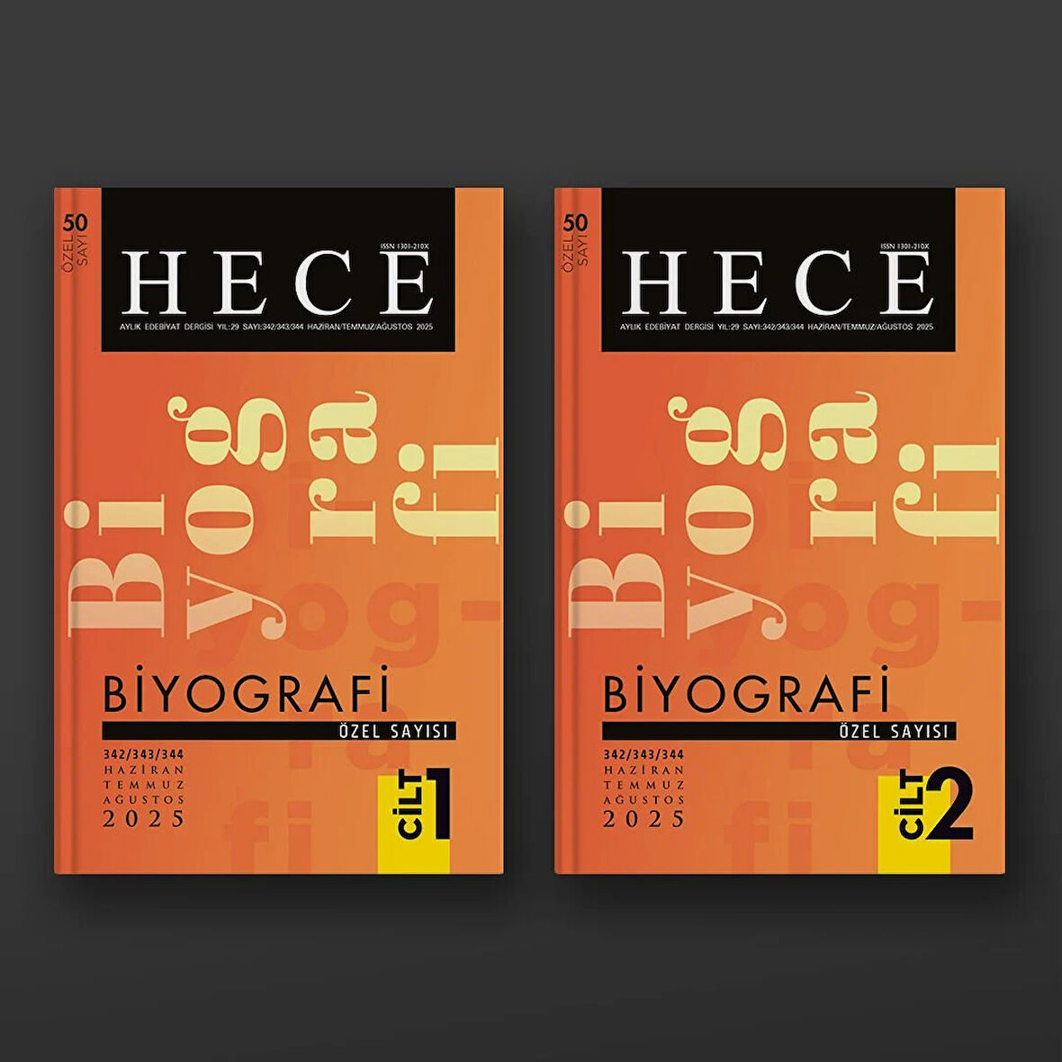 Hece Dergi 50.Özel Sayı Haziran 2025 - Biyografi Özel Sayısı (2 Cilt)