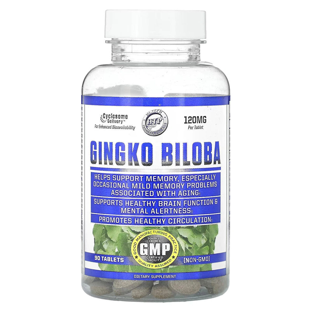 Hitech Ginkgo Biloba 90 Tablet