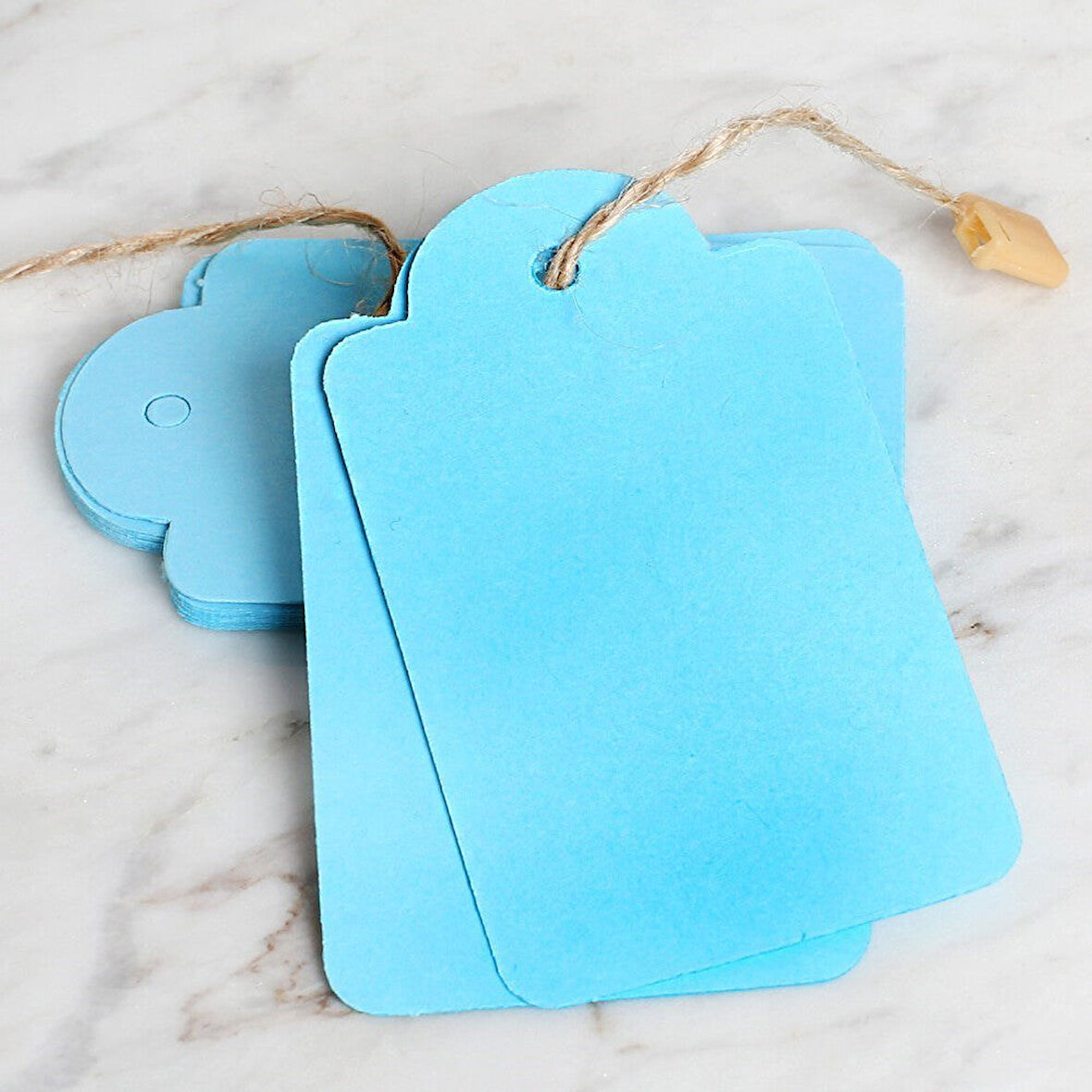  10'lu Mavi Etiket ve Klipsli Etiket İpi