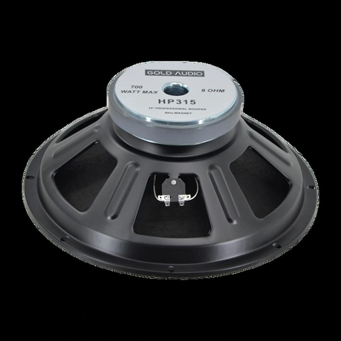 Gold Audio - HP 315 15" Hoparlör 