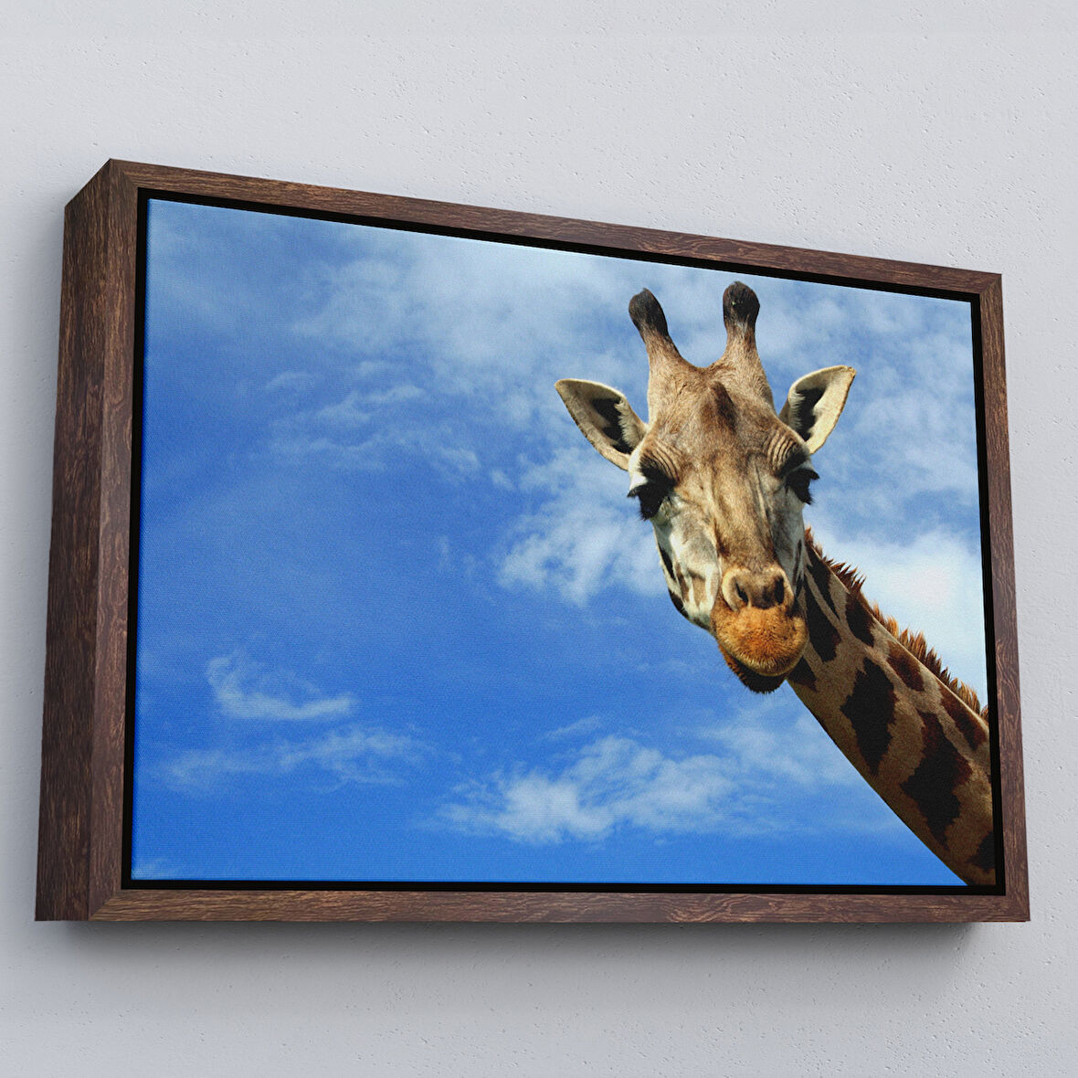 Kahverengi Çerçeveli Zürafa Dekoratif Kanvas Tablo